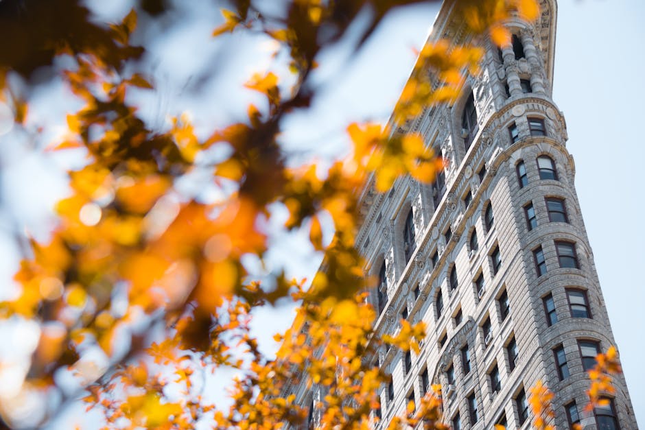 Iconic Flatiron Building in New York City framed by vibrant autumn leaves under clear skies